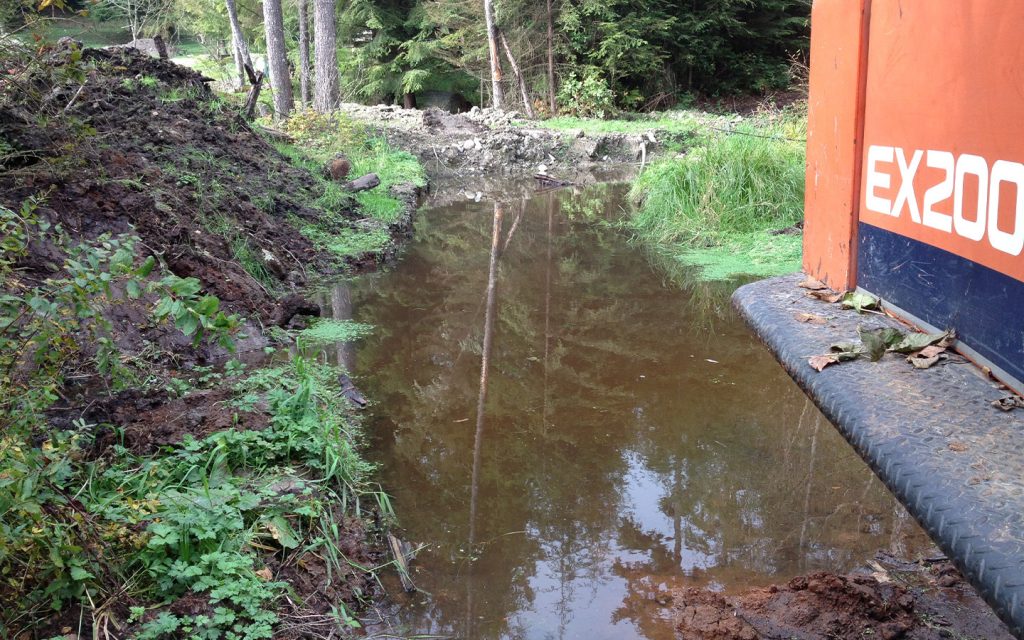 stagnant water to be filled for an access road