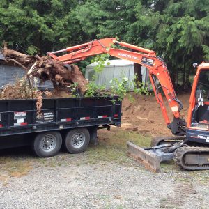 excavator tree clean up