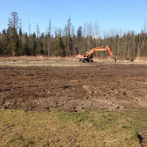 clearing land for house build