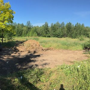 site prep brush clearing