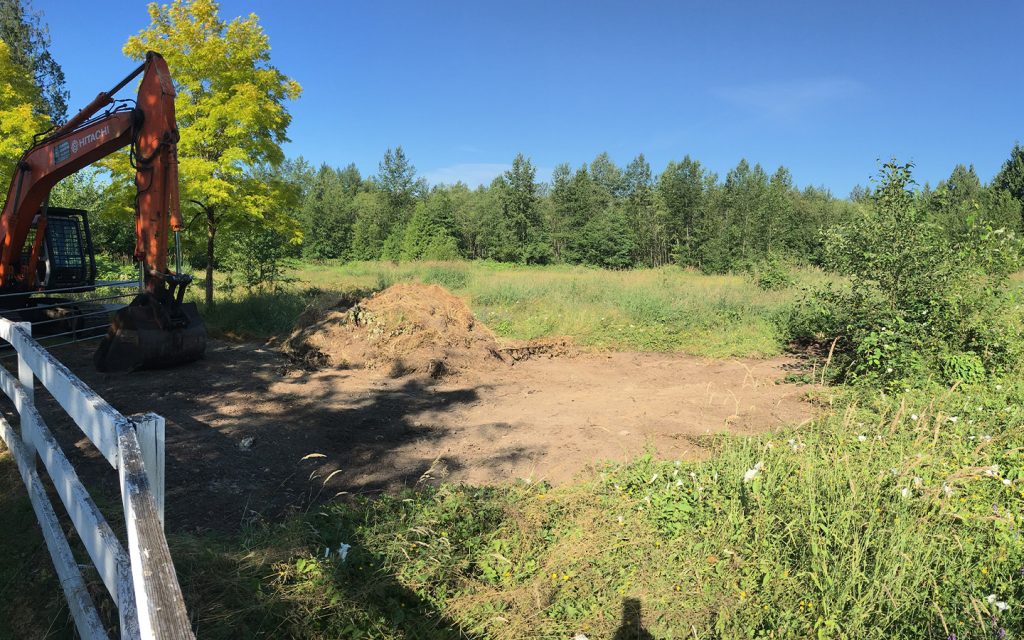 site prep brush clearing